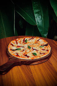 Classic Margherita Pizza