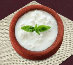 Plain Curd