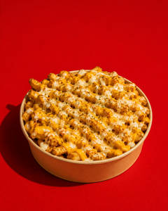 Cheesy Mess  Fries