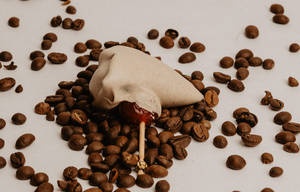 Coffee Choco Maghai Masala Paan