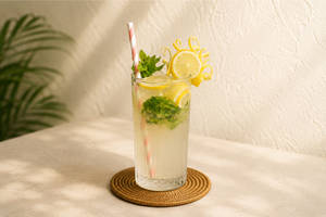 Mint Mojito (300 Ml)