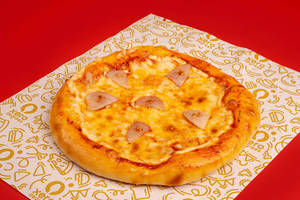 Cheese Onion Pizza