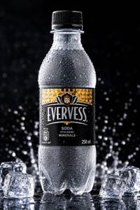 Evervess Soda 250ml