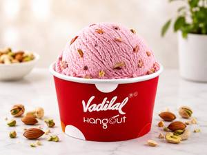 Gourmet Natural Falooda Ice Cream