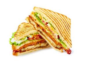 Veggie Spanish Sandwich