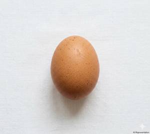 SINGLE EGG