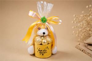 Choco Teddy