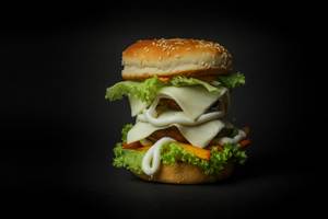Double Tikki Burger