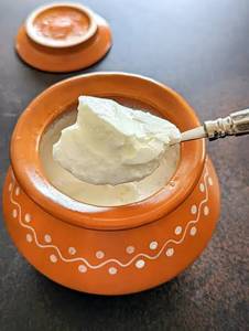 Plain Curd Dahi