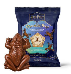 Harry Potter Chocolate Frog