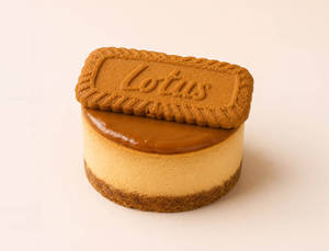 Biscoff Cheesecake