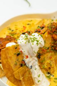 Desi Style Nachos