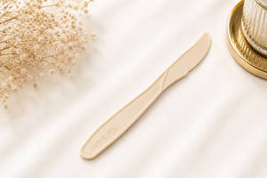 Cake Knife