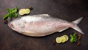 Ilish Fish(700-থেকে900 মধ্যে) কাঁচা ইলিশ মাছ