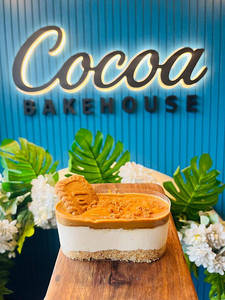 Biscoff Cheesecake Slice