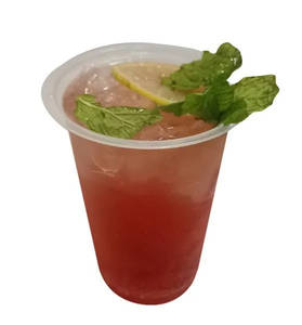 Watermelon Mojito