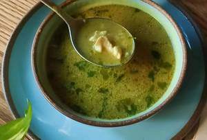 Chicken Shorba