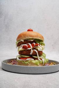 Mr Sandwich Burger
