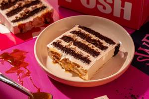 Chocolate Caramel Cake - Slice