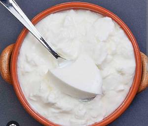 Curd Plain