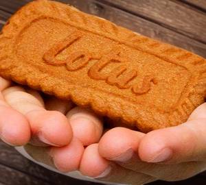 Biscoff bits