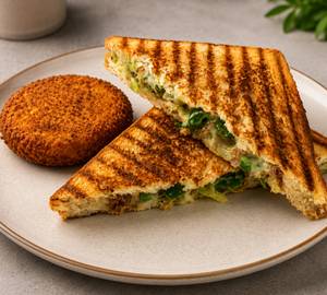 Grilled Veg Mayo Sandwich