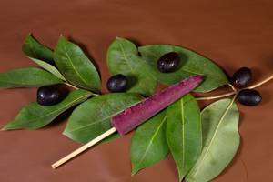 Jamun Kulfi