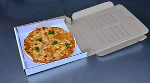 Pizza margherita