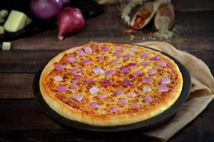 Cheese and onion pizza