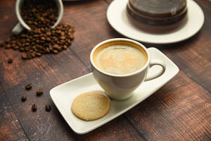 Lungo