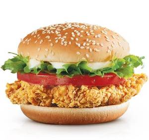Dynamic chicken burger