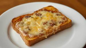 Cheese slice sandwich