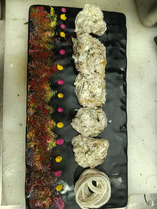 Murgh Malai Tikka