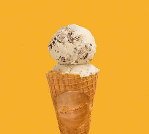 Malted Milk & Milk Chocolate Ice Cream
