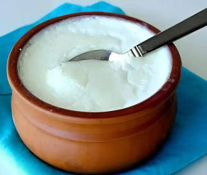 Plain Curd