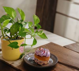 Blueberry Cupcake