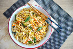 Veg Hakka Noodles [Full]