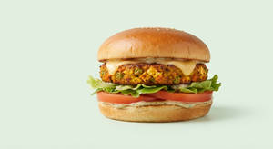 Agarwal Special Burger