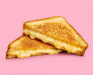 Cheese Sandwich