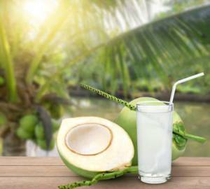 Coconut 1pic