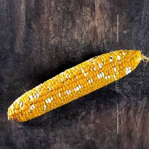 Corn Crunchers