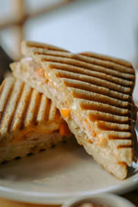 Plain Cheese Sandwich