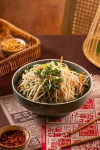 Hakka Noodles