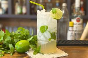 Garden Fresh Mojito