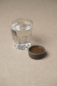 Soaked Chia Seeds