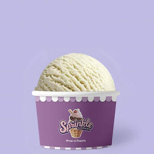 Vanilla Sugar Free Ice Cream