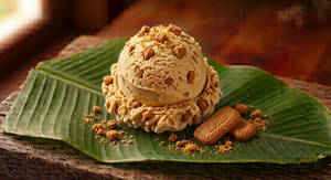 Belgian Biscuit Scoop