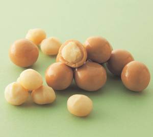 Macadamia Gianduja Chocolate
