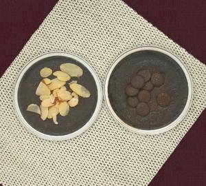 Almond and Dark Chocolate Twin Treat