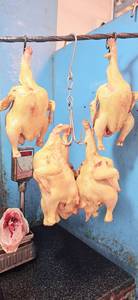 1/2 Half Kg Chicken  Curry Cut ( With Skin )